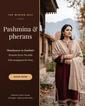 Winter Pashmina Collection template preview